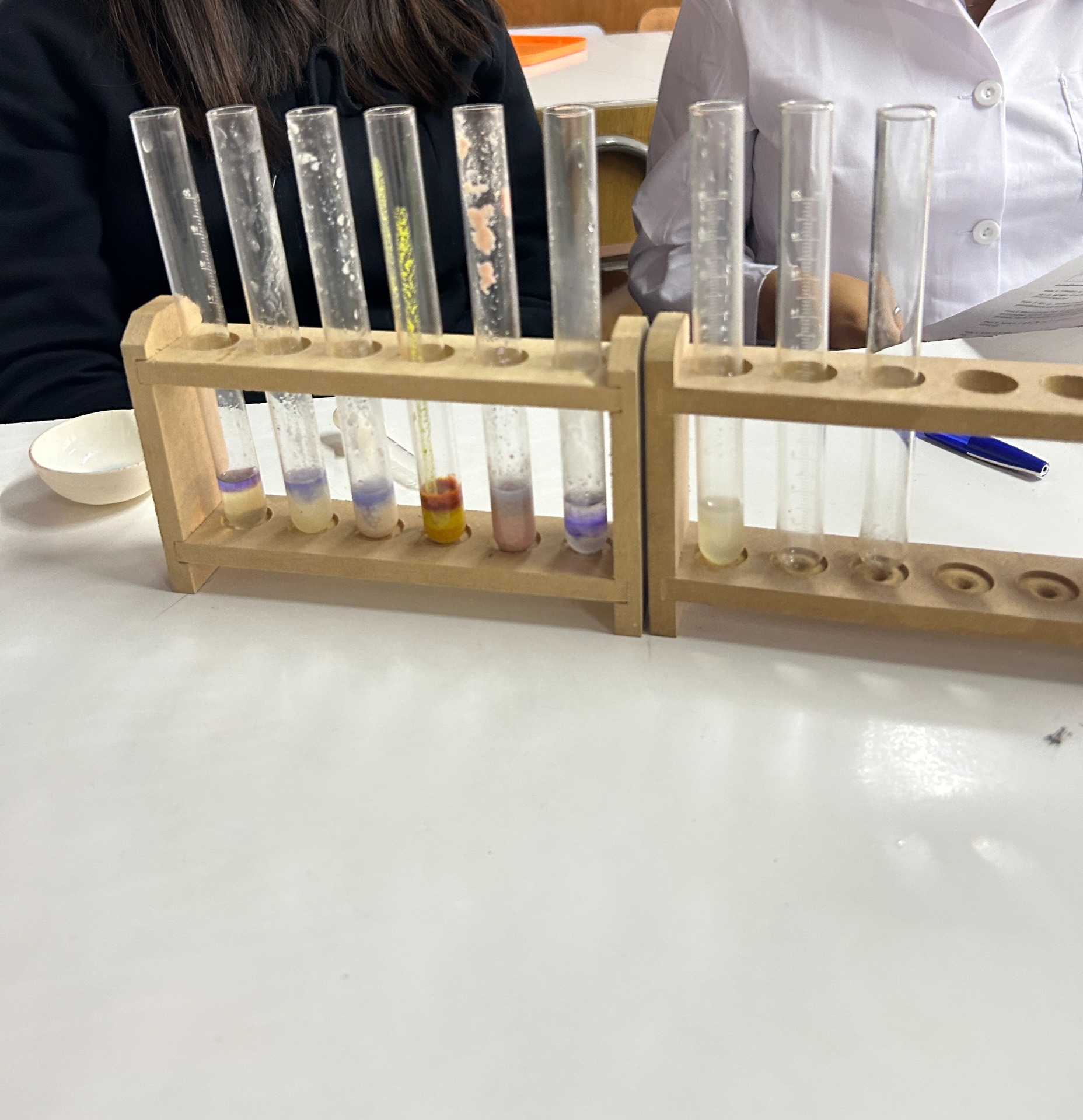 Clase: Reconociendo proteínas