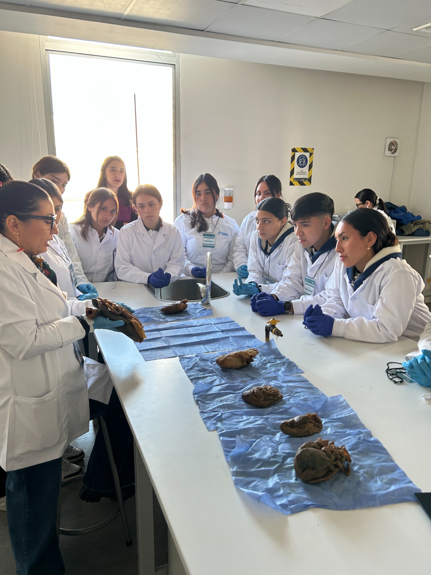 Visita Pedagógica Facultad de química y ciencoas Universidad de Chile