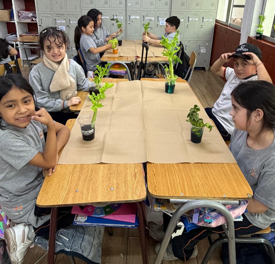 Experimentación en el Aula