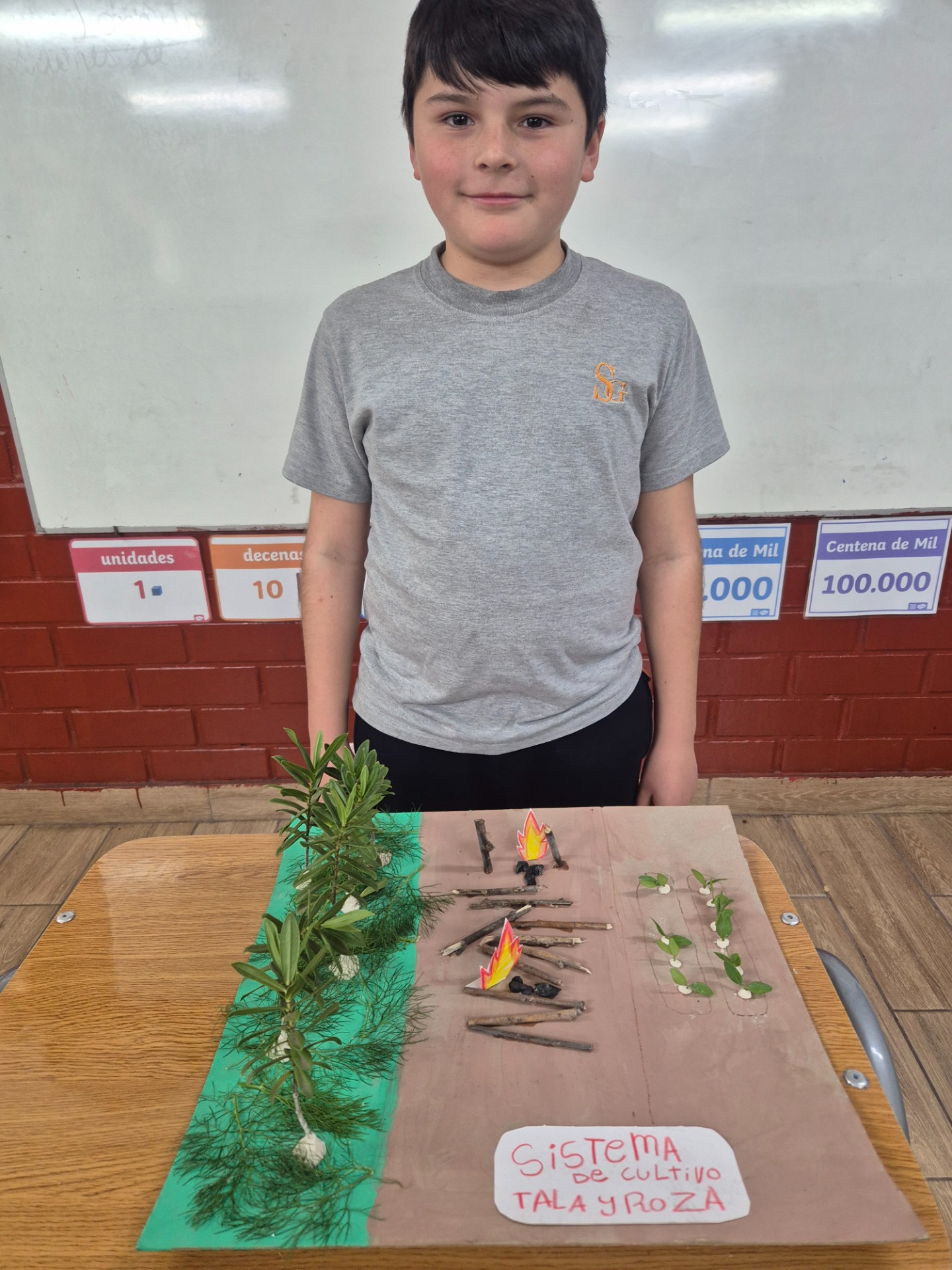 Maquetas sistema de tala y roza Maya